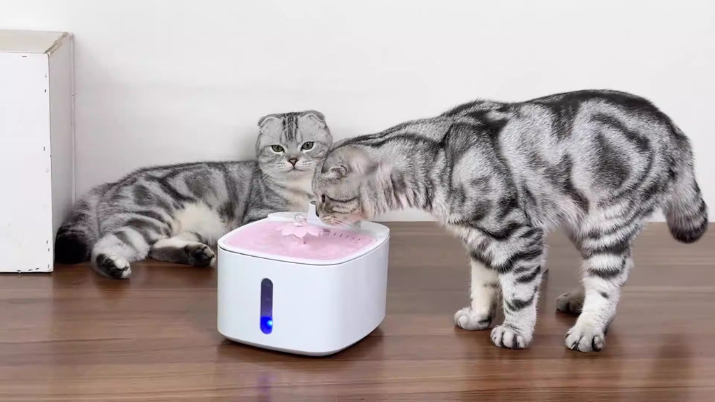 Smart Circulating Water Fountain for Cats & Dogs