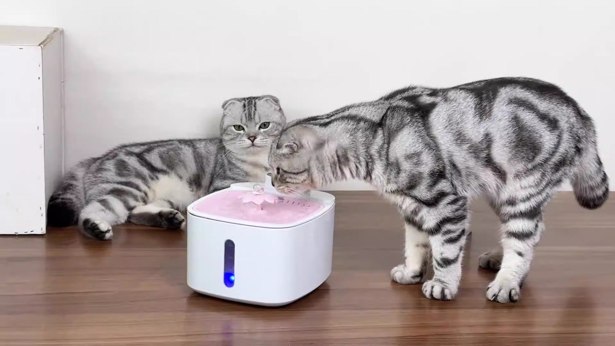 Smart Circulating Water Fountain for Cats & Dogs