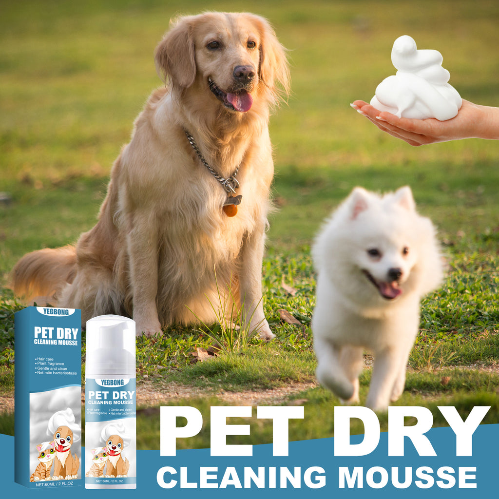 Dry Clean Mousse Body Wash for Dogs & Cats