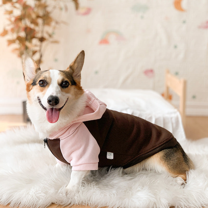 Shedding Prevention Clothes for Corgi & Small Dogs
