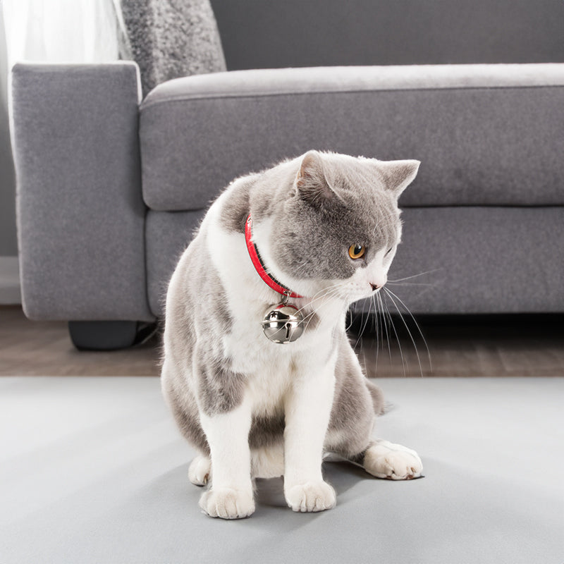Paw Print & Bone Alloy Collar Bell for Dogs & Cats