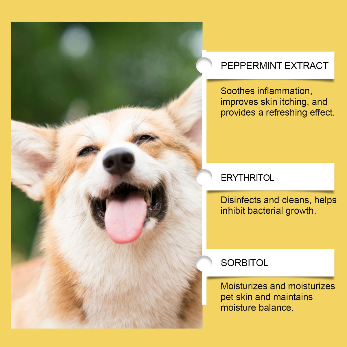 Herbal Yeast Supplement for Pet Skin Care