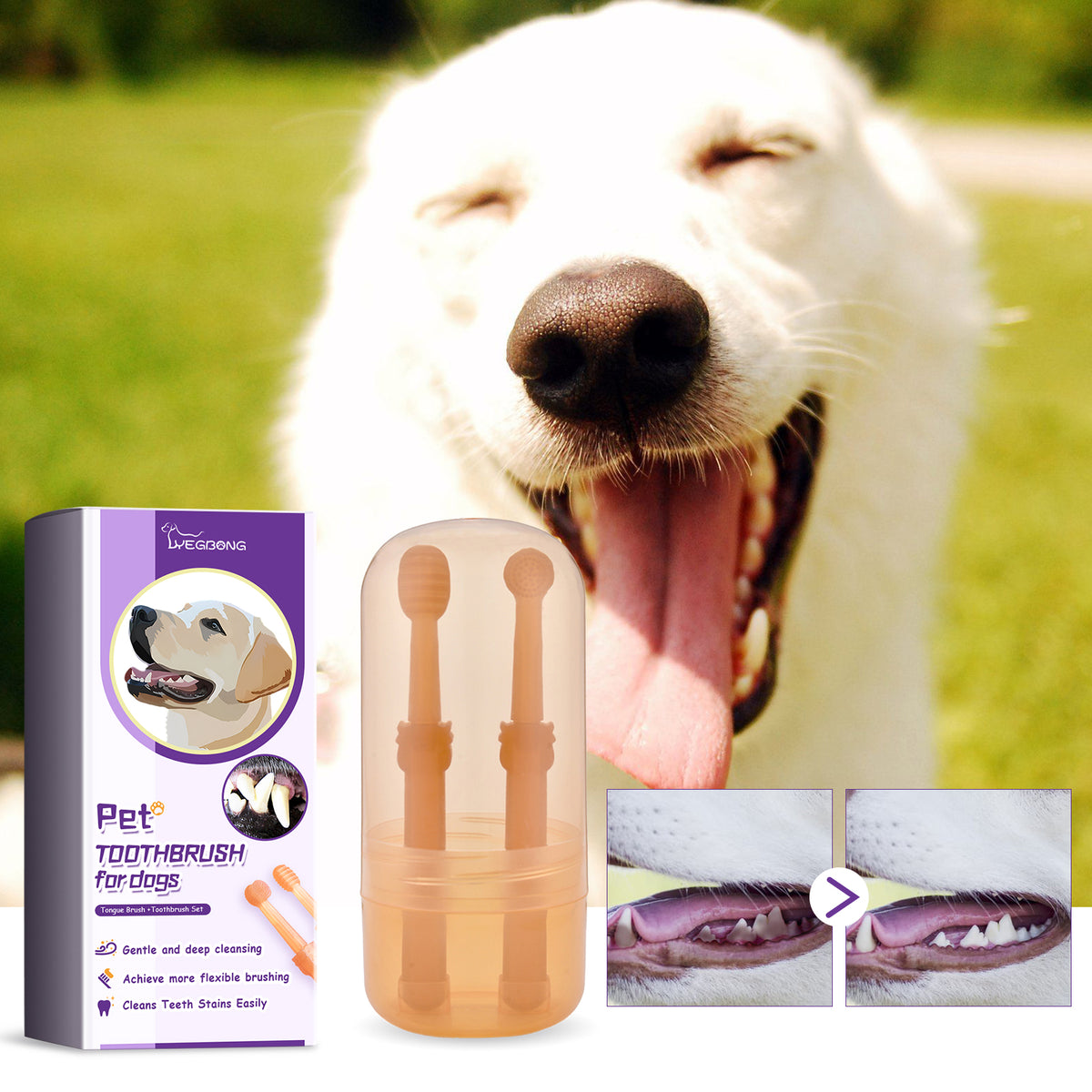 Dental Toothbrush for Dogs — Oral Care & Stain Removal