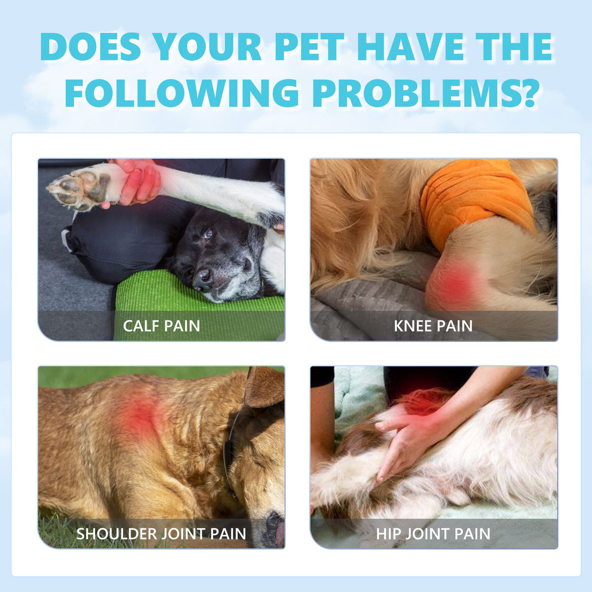 Glucosamine Joint Relief Drops for Dogs & Cats