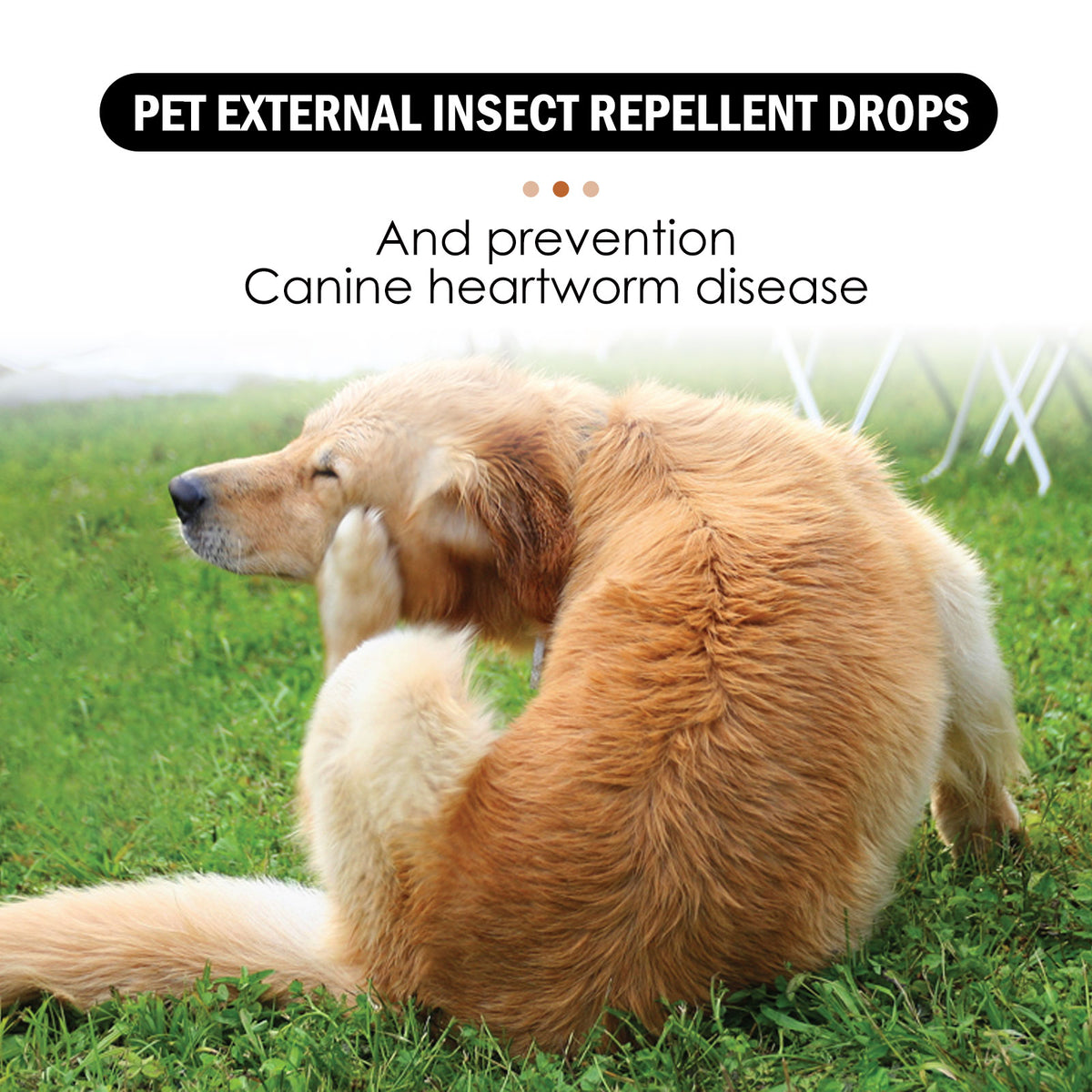 Flea & Tick Repellent Drops for Dogs & Cats