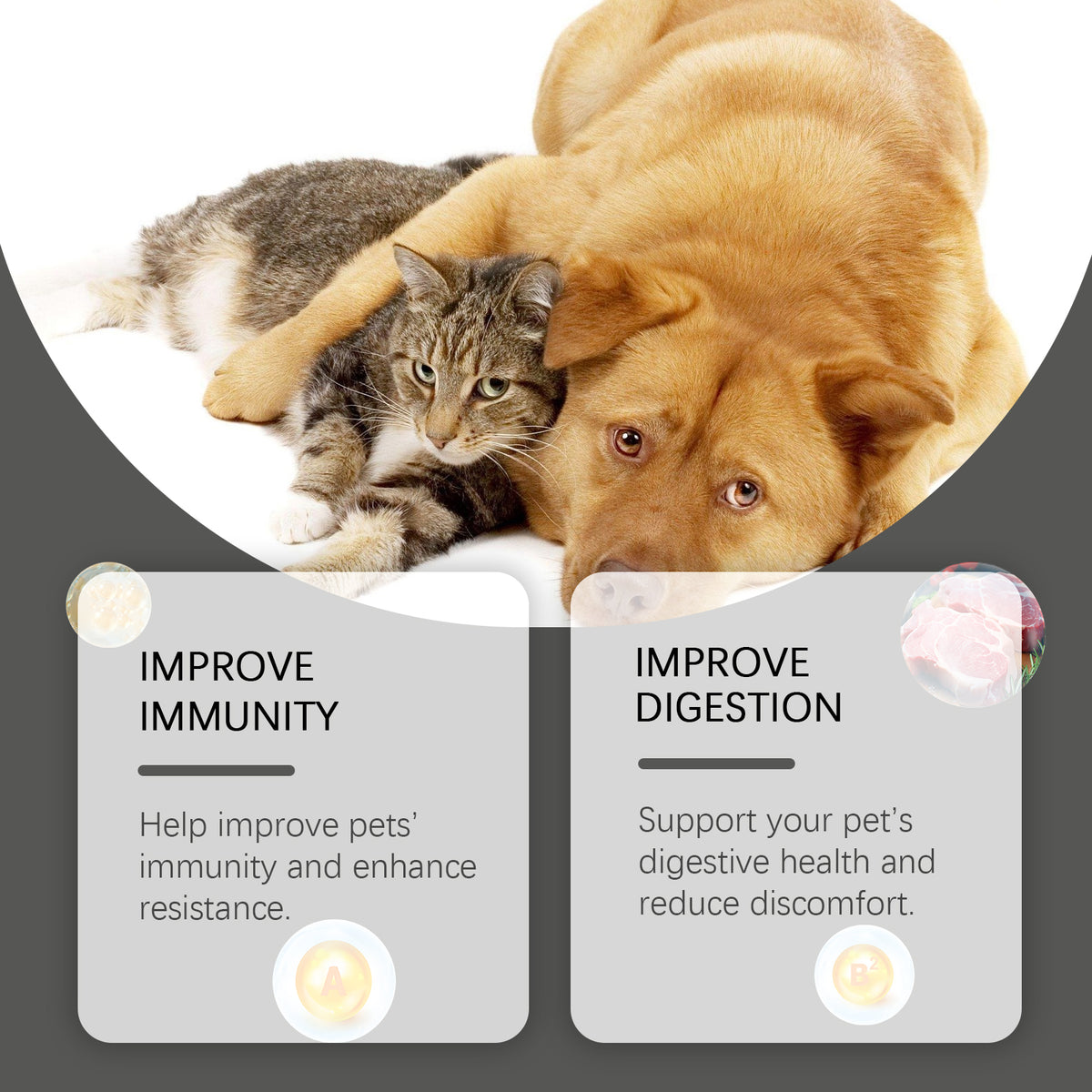 Daily Probiotic Tablets for Dogs & Cats