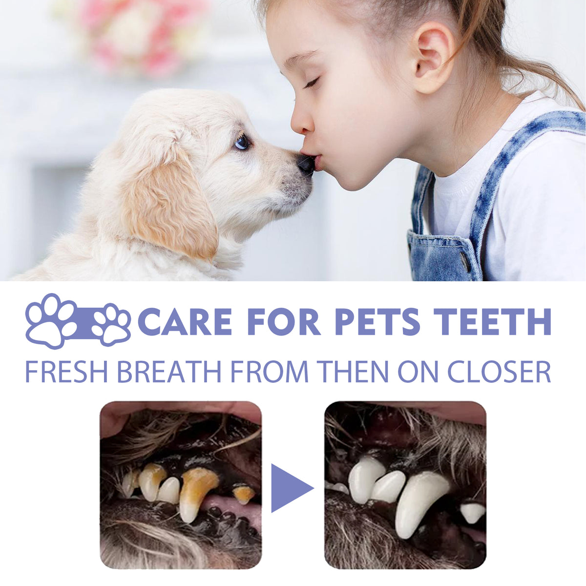 Yegbong Dog And Cat Tooth Cleaning Spray, Pet Mouth Cleaning Breath Fresh Deodorizing Cleaning Spray