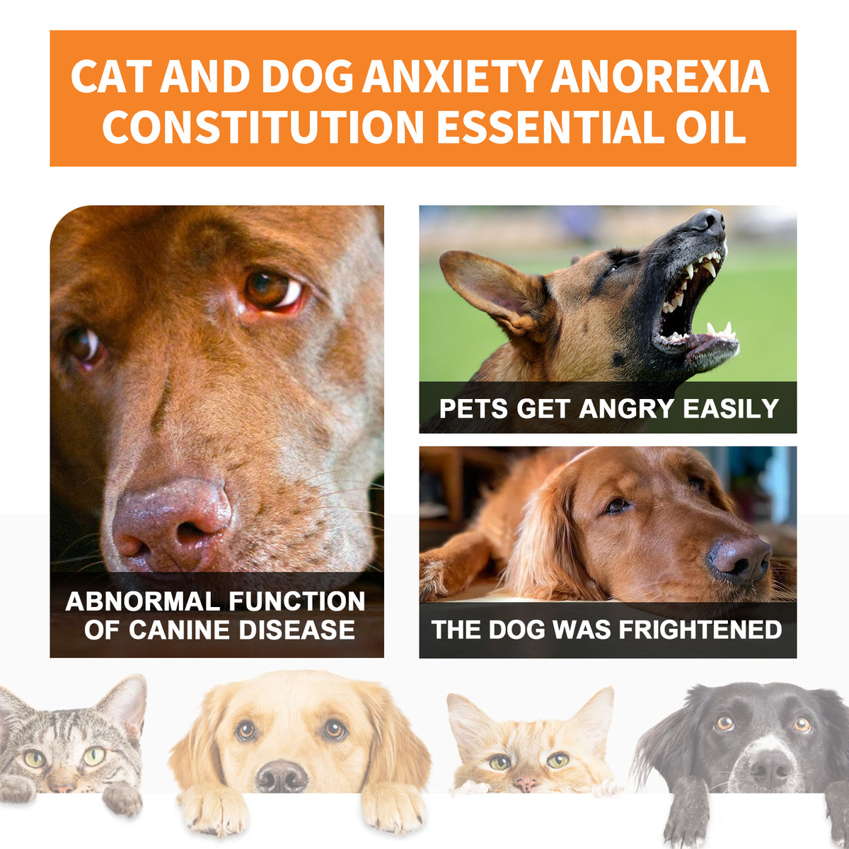 Yegbong Cat And Dog Care Essence, Pet Cat And Dog Enhance Health Eat Care Sesame Seed Oil Essence