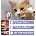 Yegbong Pet Mouth Cleaning Cream, Cats And Dogs Clean Bad Breath Tartar Stains White Teeth Cream