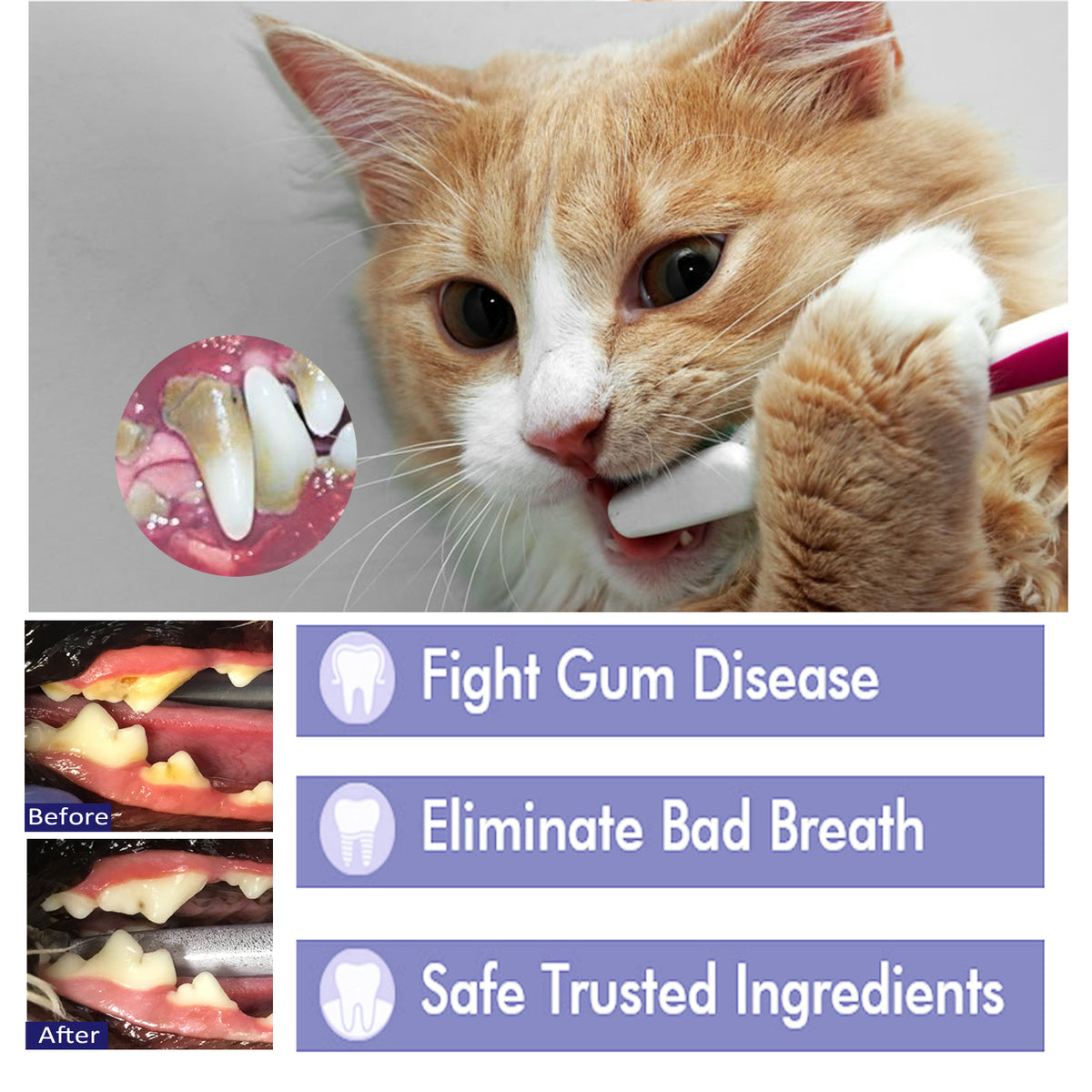 Yegbong Pet Mouth Cleaning Cream, Cats And Dogs Clean Bad Breath Tartar Stains White Teeth Cream