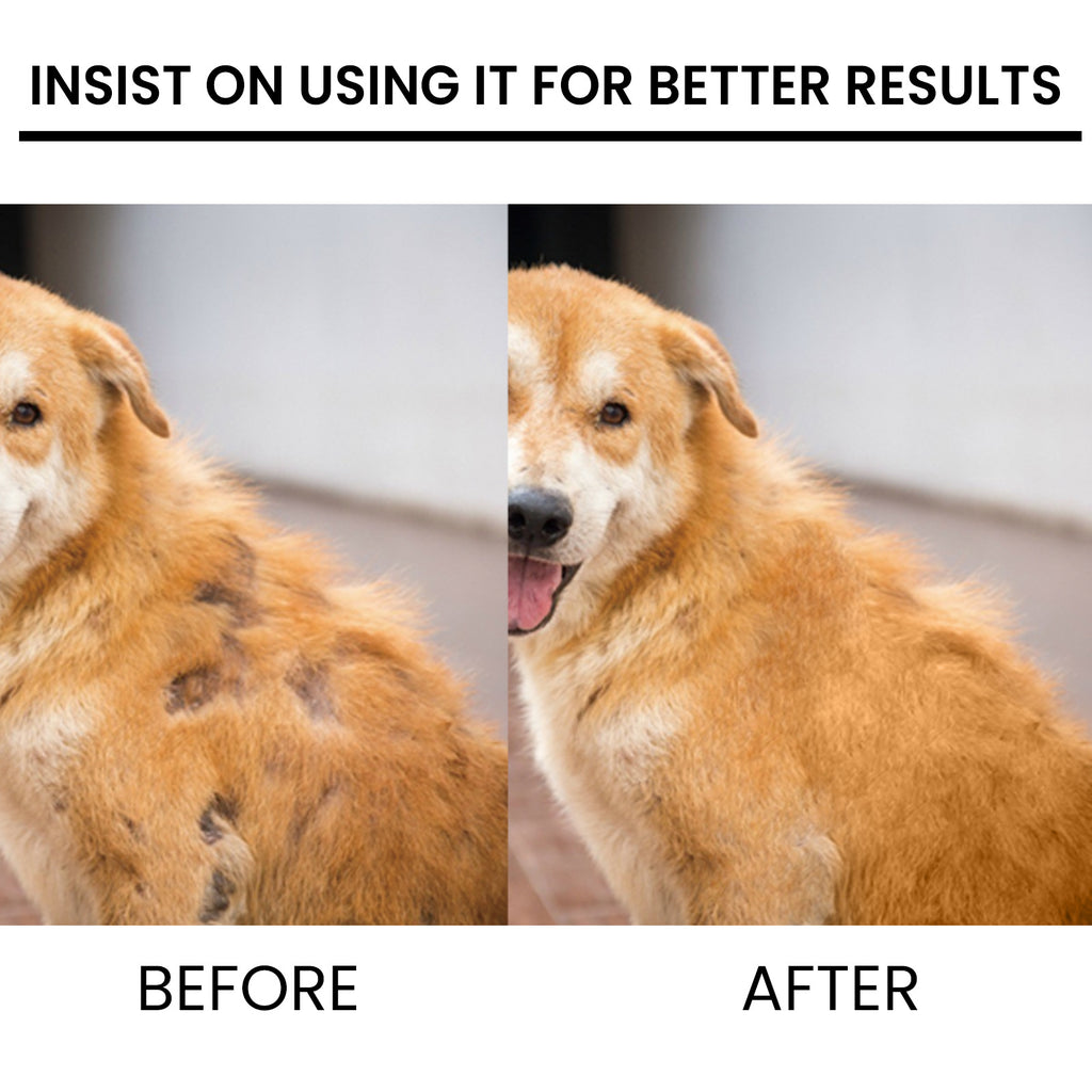 Hair Growth & Repair Spray for Dogs & Cats