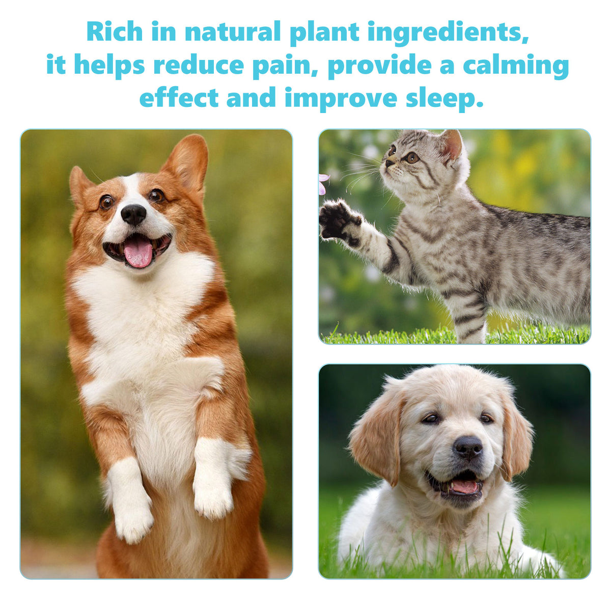 Glucosamine Joint Relief Drops for Dogs & Cats