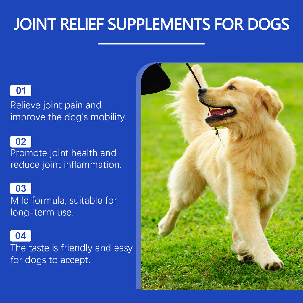 Joint Health Supplement for Dogs