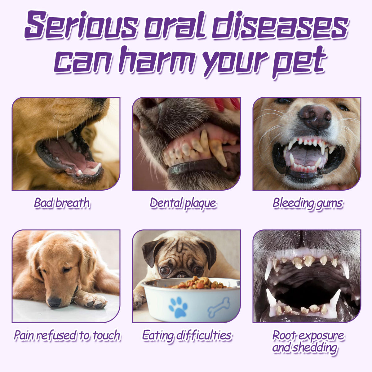 Dental Toothbrush for Dogs — Oral Care & Stain Removal