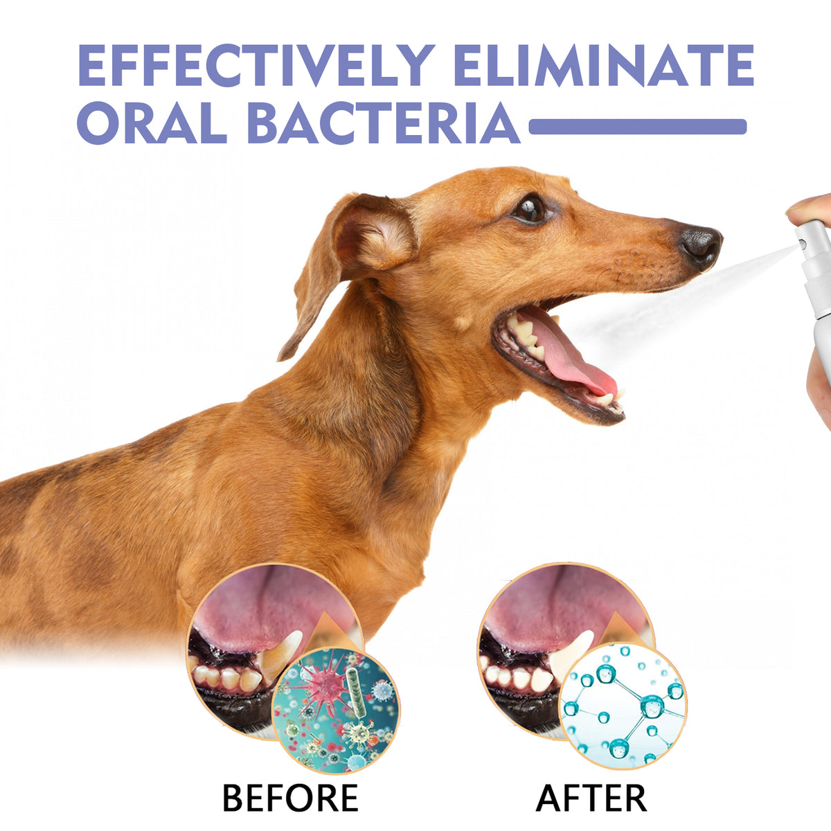Teeth Cleaning & Fresh Breath Spray for Dogs & Cats
