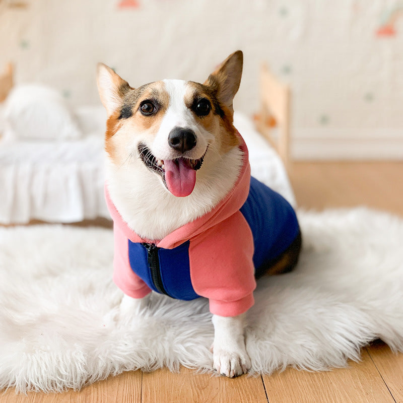 Shedding Prevention Clothes for Corgi & Small Dogs