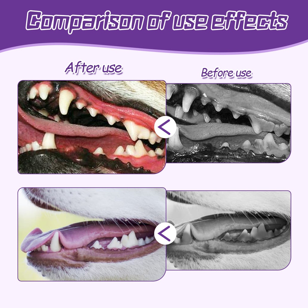 Dental Toothbrush for Dogs — Oral Care & Stain Removal
