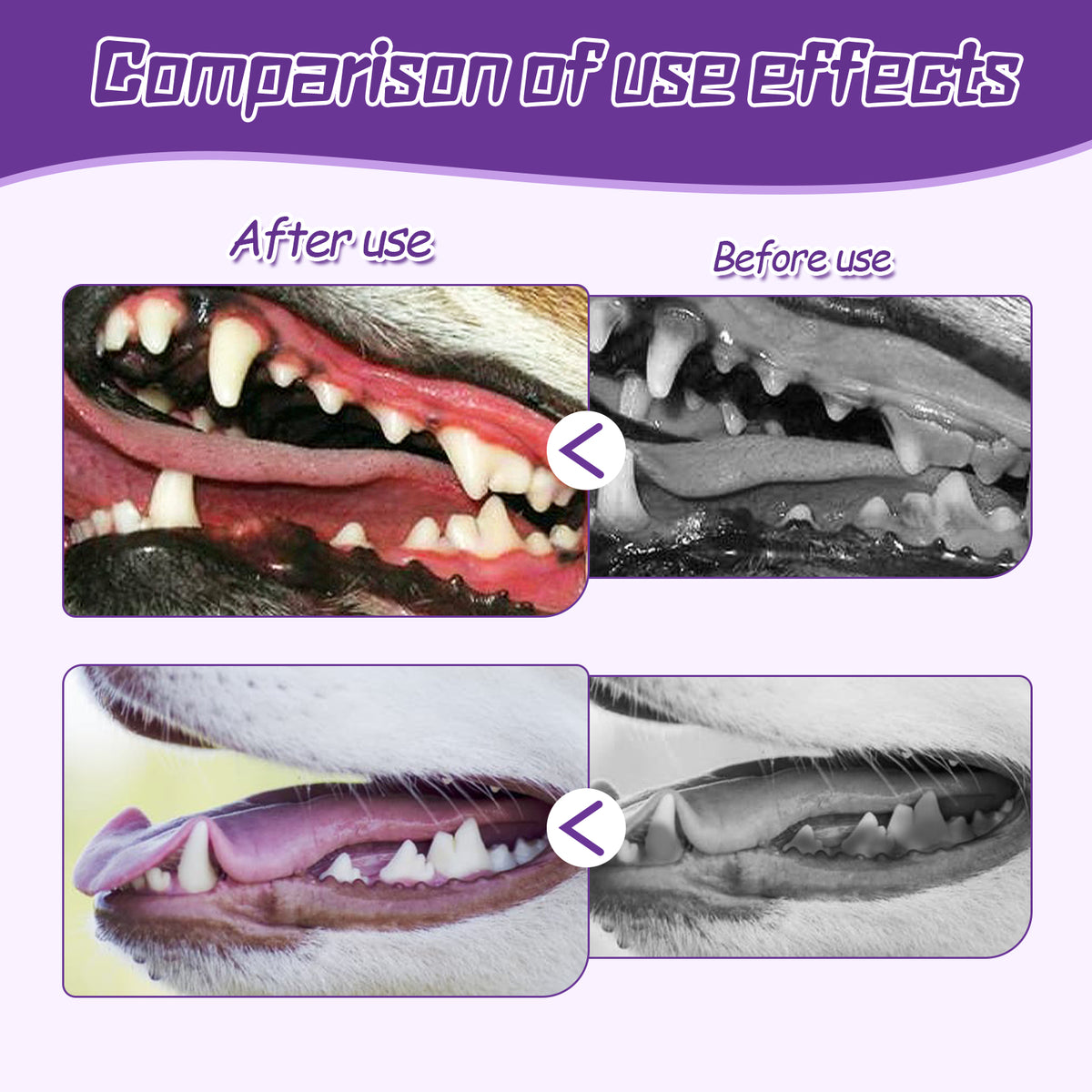 Dental Toothbrush for Dogs — Oral Care & Stain Removal