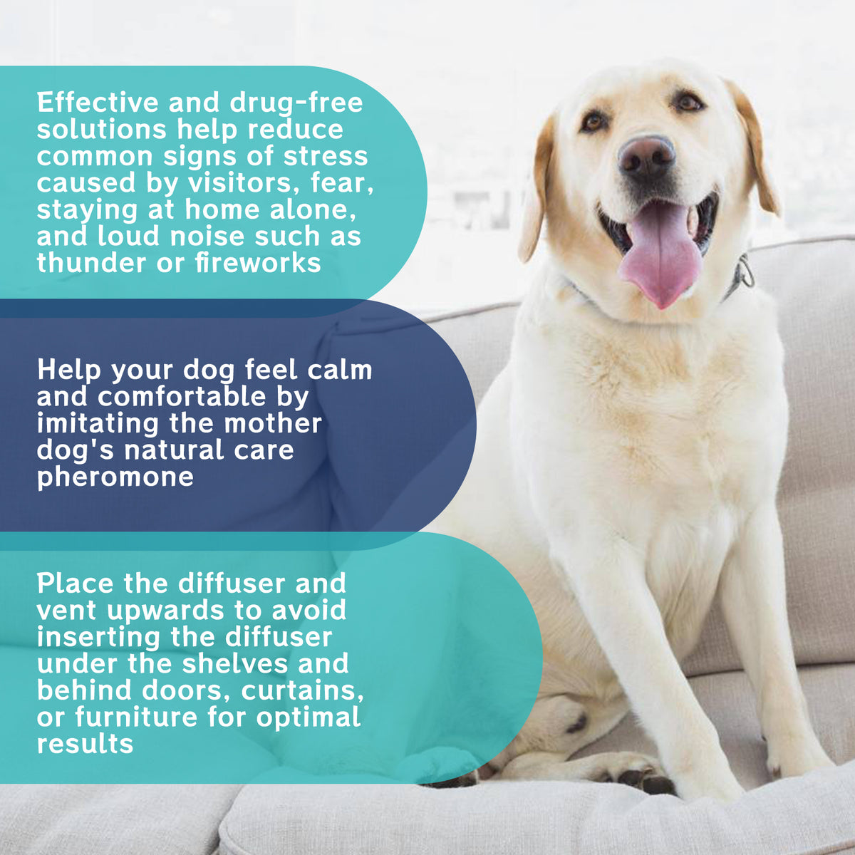 Anxiety & Stress Relief Calming Drops for Dogs & Cats