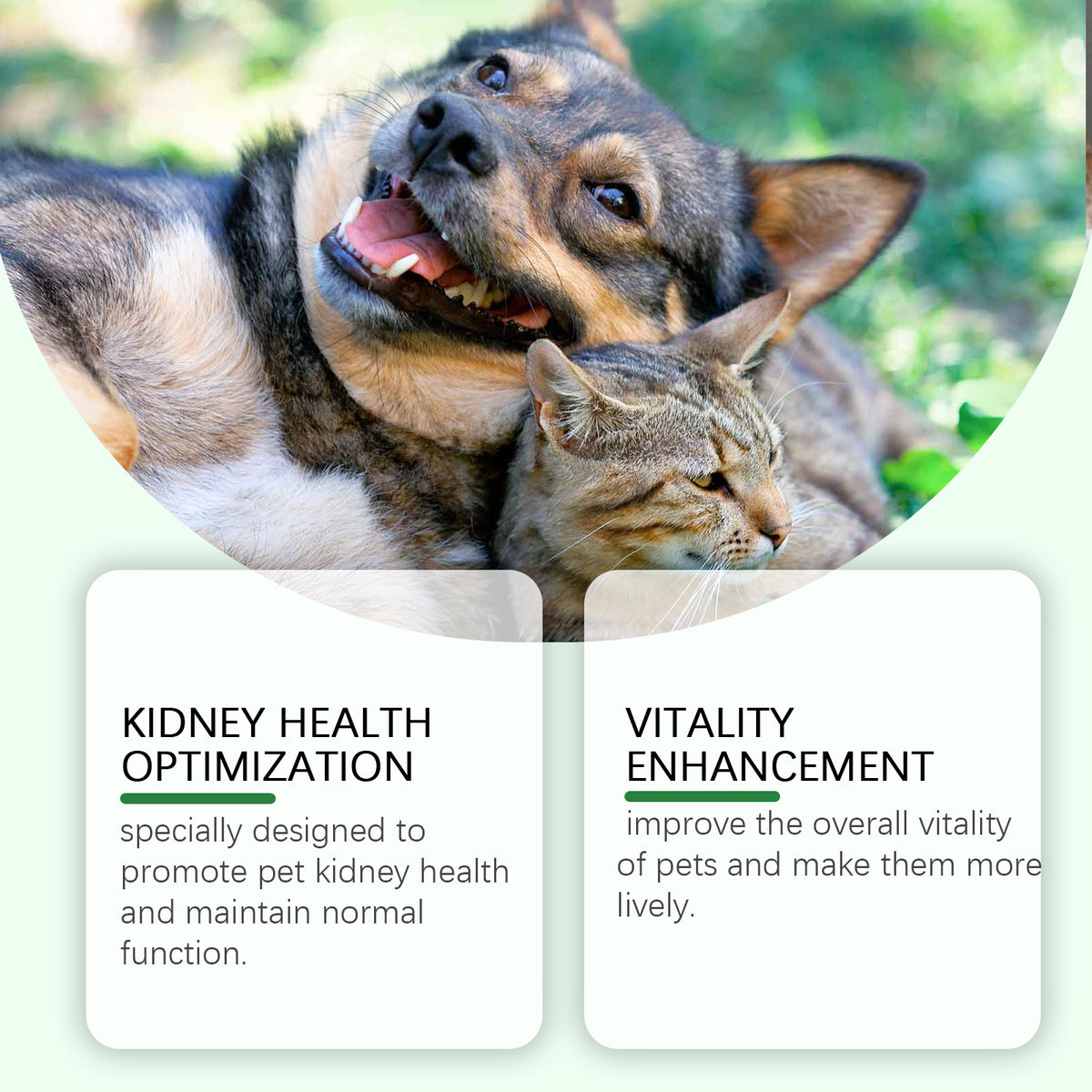 Gentle Daily Health Care Supplement for Pets