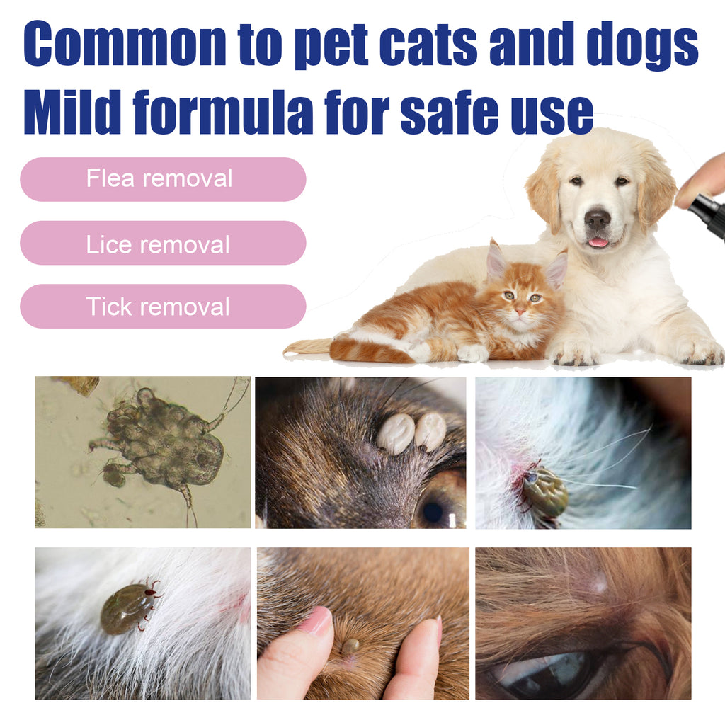 Yegbong Pet Flea Spray, Cat And Dog Pet Skin Cleansing External Lice Tick Anti-Itch Spray