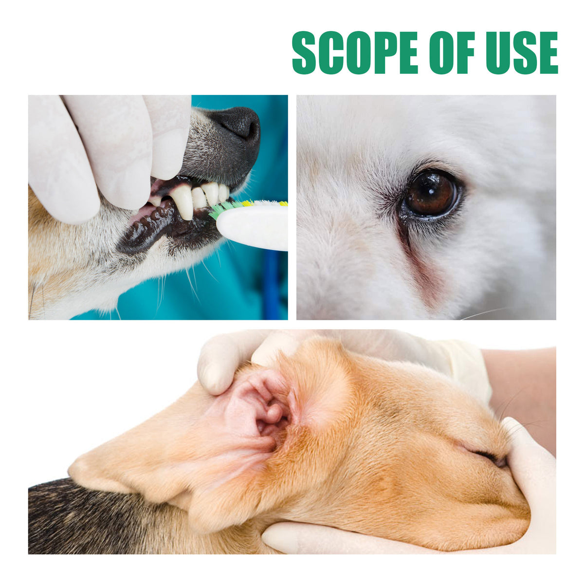 Tooth Cleaning Finger Sleeves for Dogs & Cats