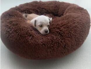 Ultra Soft Washable Round Pet Bed for Dogs & Cats
