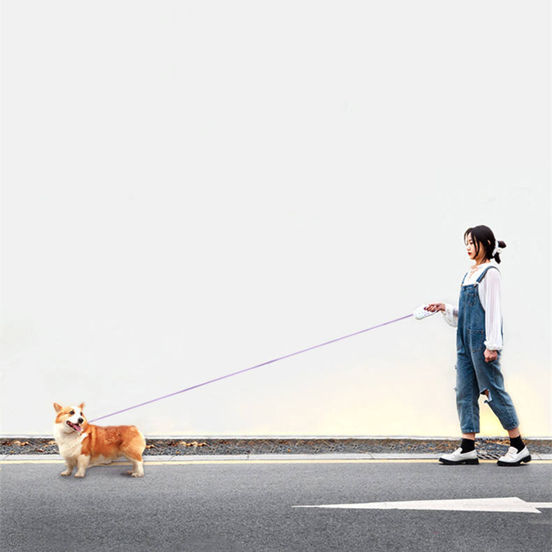 Glowing Automatic Retractable Dog Leash