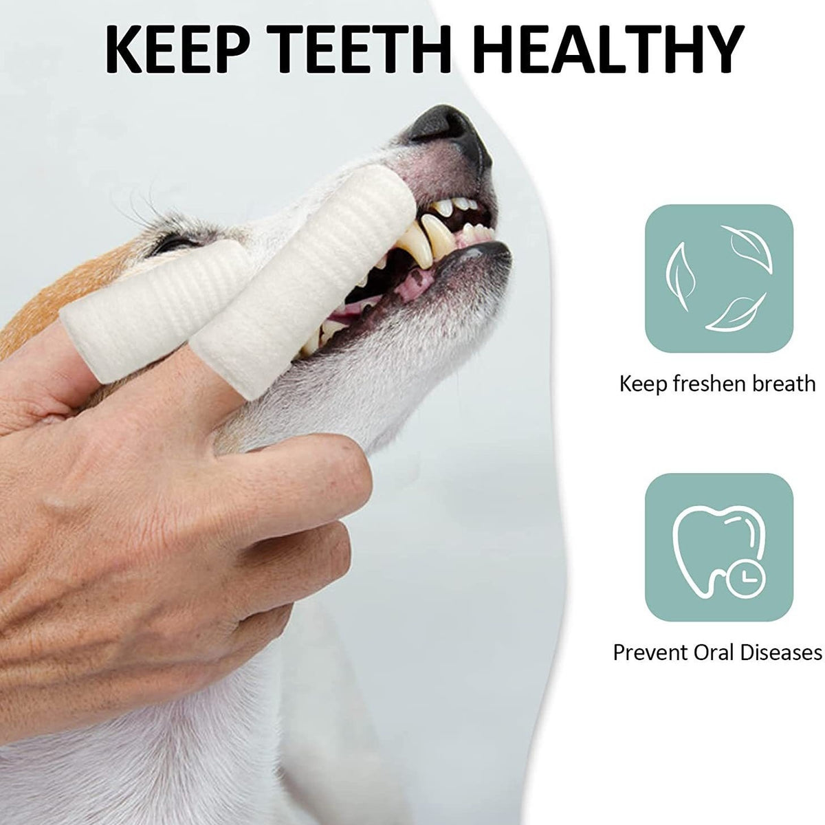 Finger Toothbrush for Dogs & Cats — Gentle Oral Care