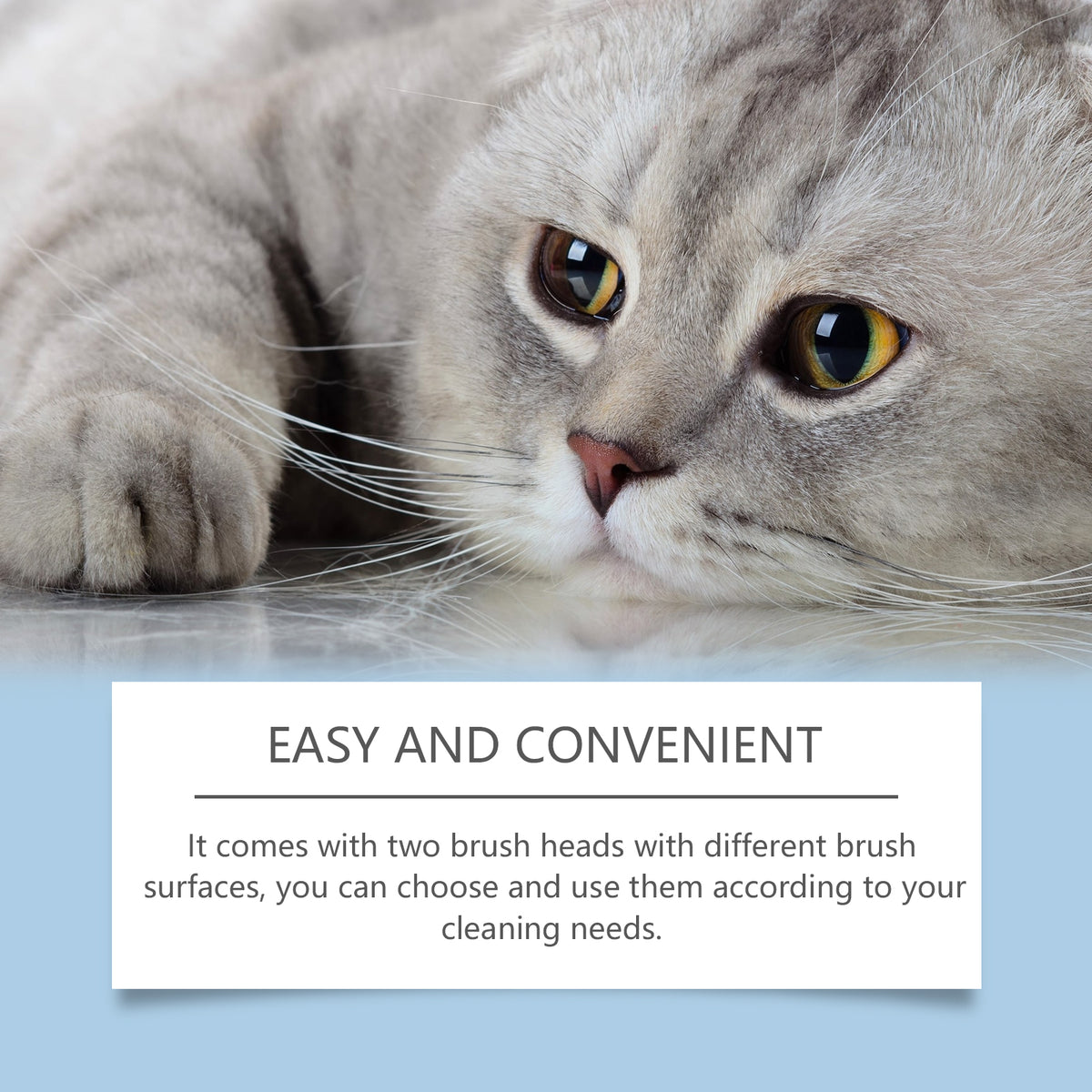 Oral Care Cleaning Solution Set for Dogs & Cats