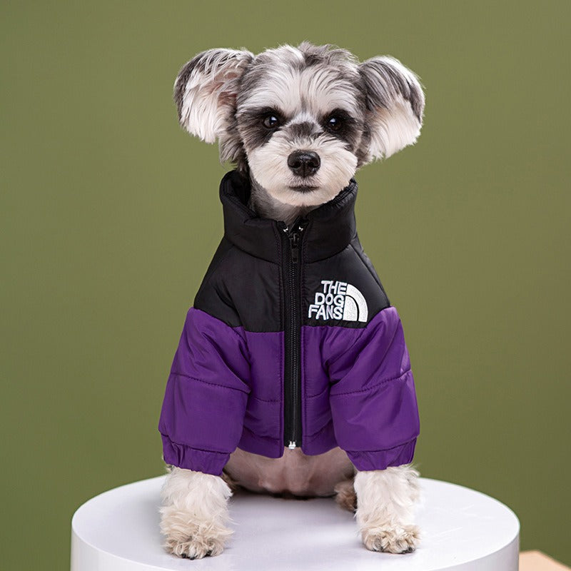 Windproof Winter Cotton Jacket for Medium & Large Dogs