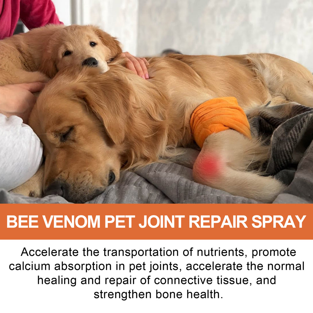 Joint Relief Spray for Dogs & Cats