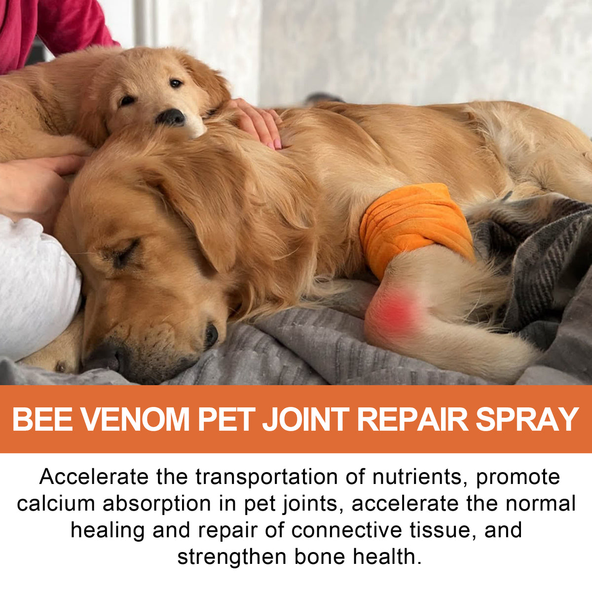 Joint Relief Spray for Dogs & Cats