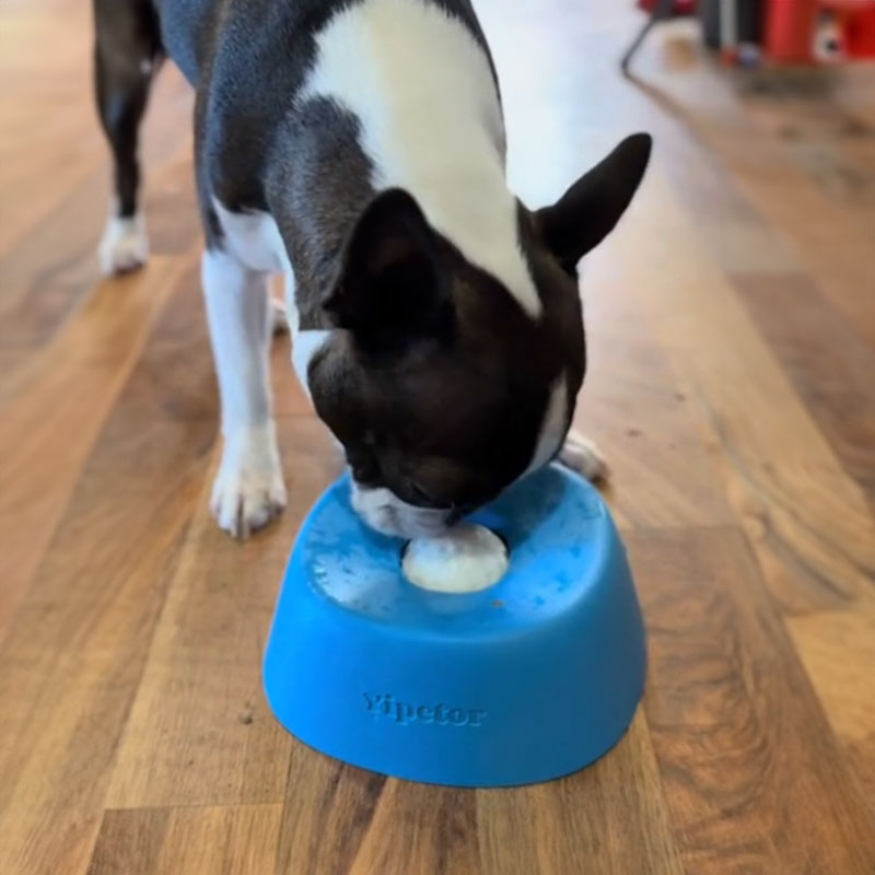Anti-Choke Slow Feeder Dog Bowl & Lick Mat