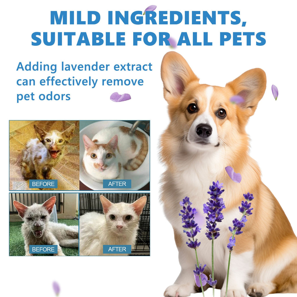 No-Rinse Scented Coat Care Essence for Dogs & Cats