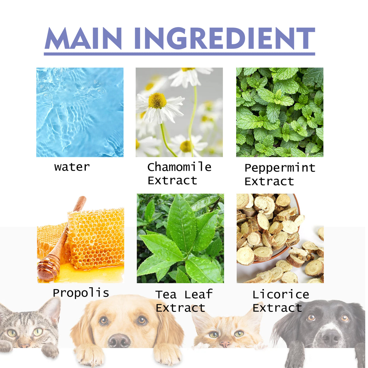 Yegbong Dog And Cat Tooth Cleaning Spray, Pet Mouth Cleaning Breath Fresh Deodorizing Cleaning Spray