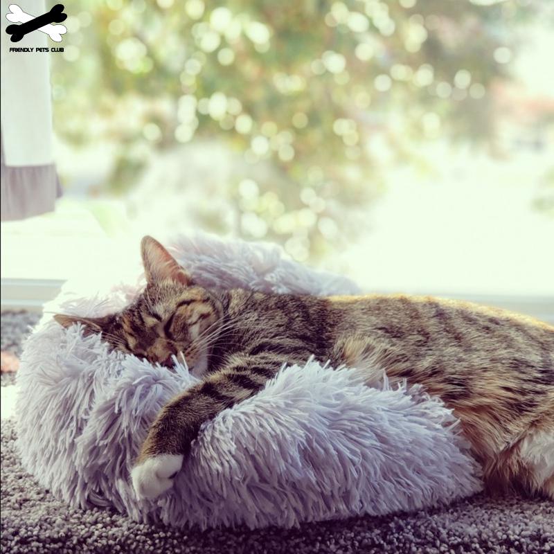 Ultra Soft Washable Round Pet Bed for Dogs & Cats