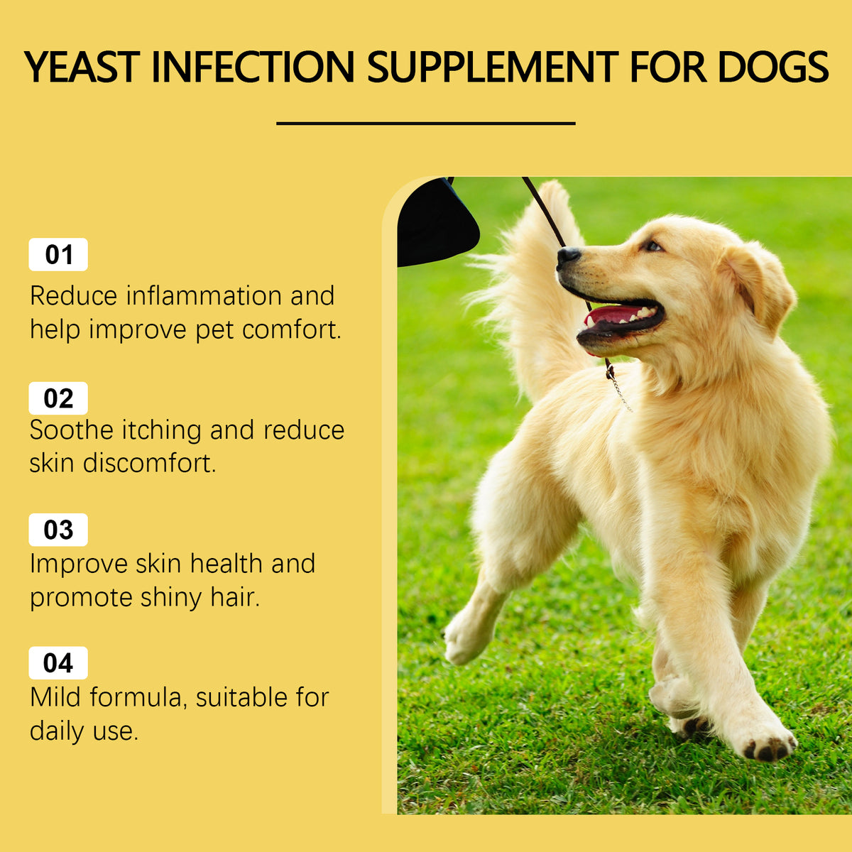 Herbal Yeast Supplement for Pet Skin Care