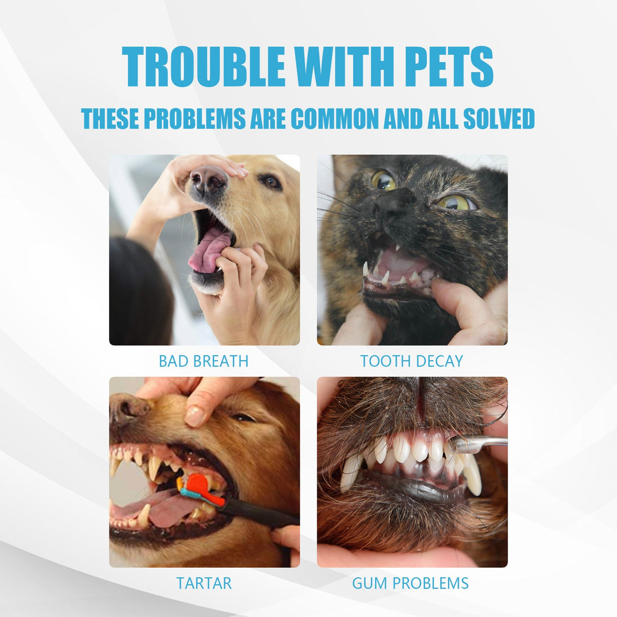 Edible Toothpaste for Dogs & Cats — Fresh Breath & Clean Teeth