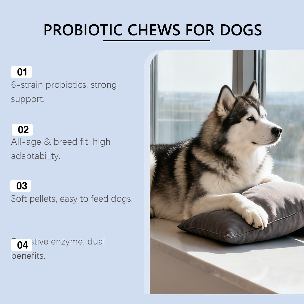 Dog probiotic soft granules