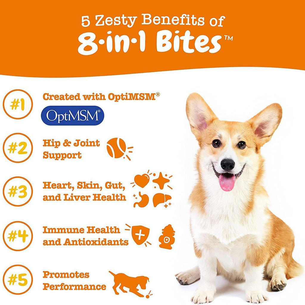 Multi-Functional Nutritional Supplement for Dogs