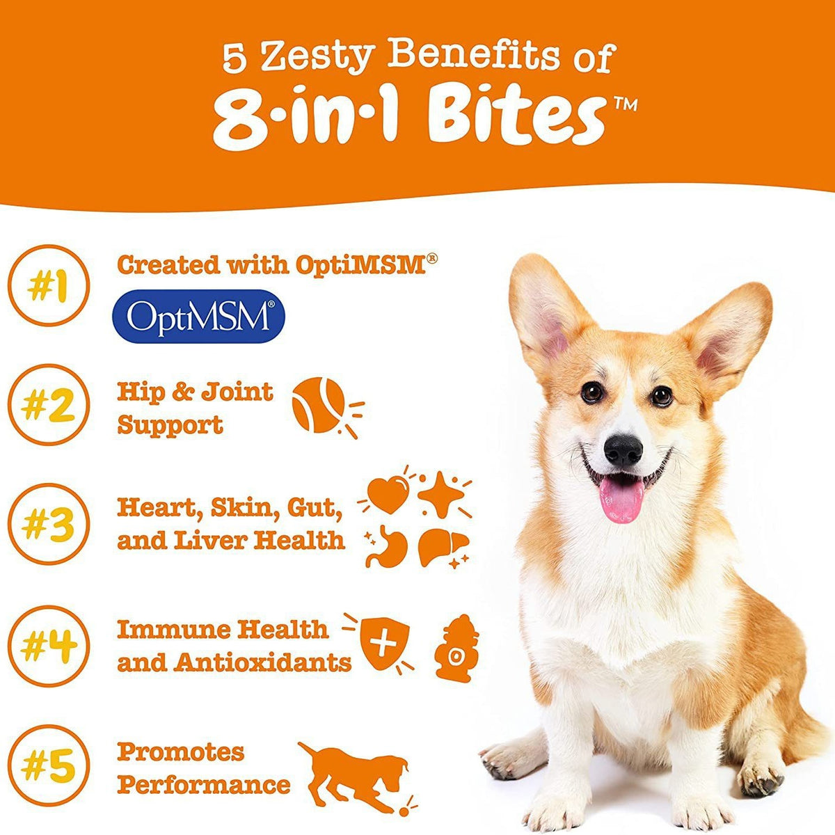 Multi-Functional Nutritional Supplement for Dogs