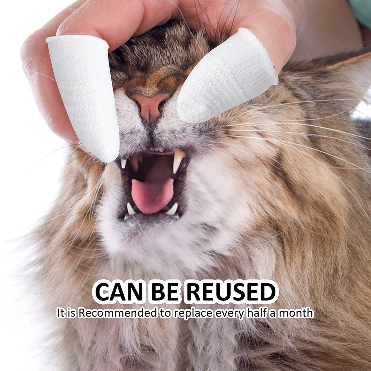 Finger Toothbrush for Dogs & Cats — Gentle Oral Care