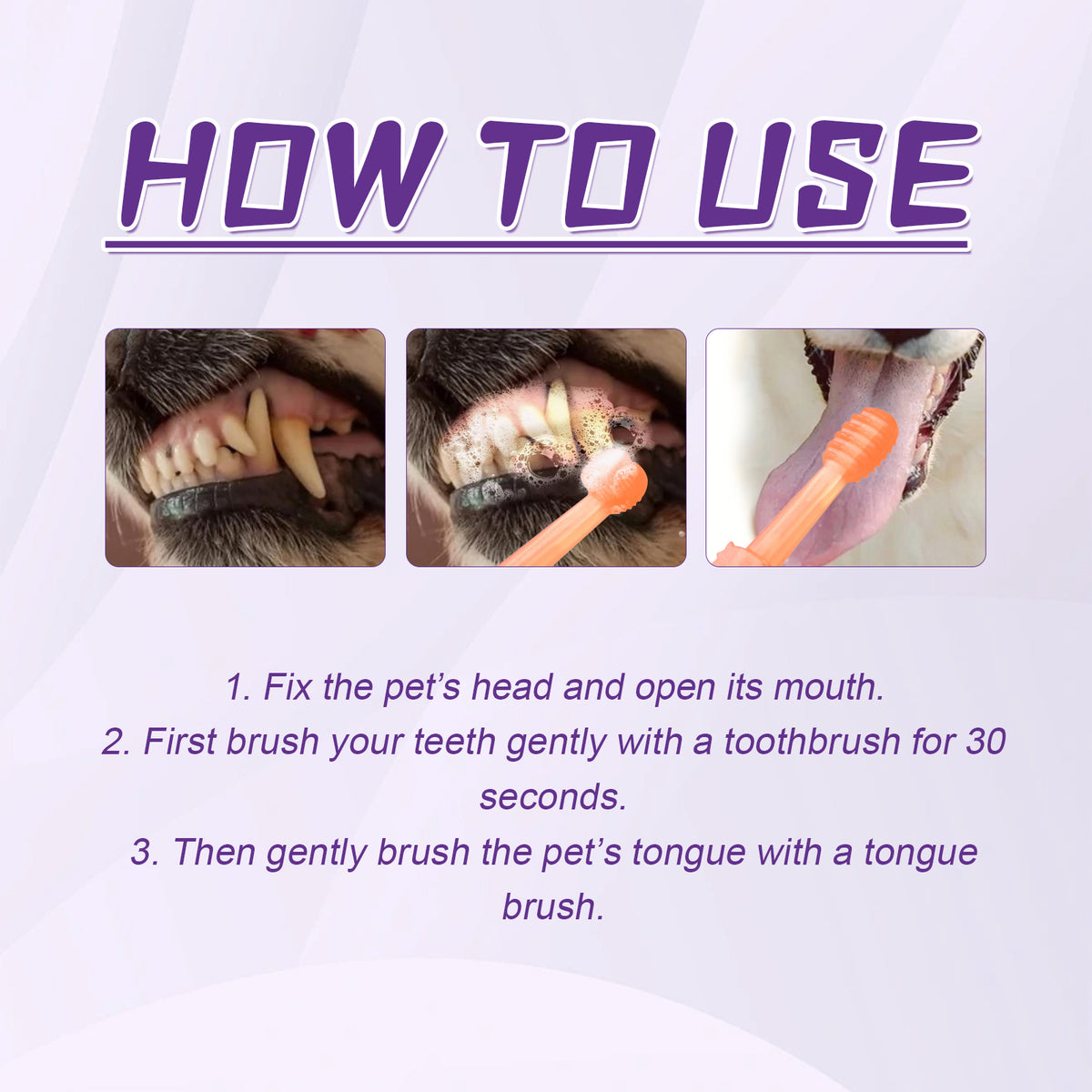 Dental Toothbrush for Dogs — Oral Care & Stain Removal