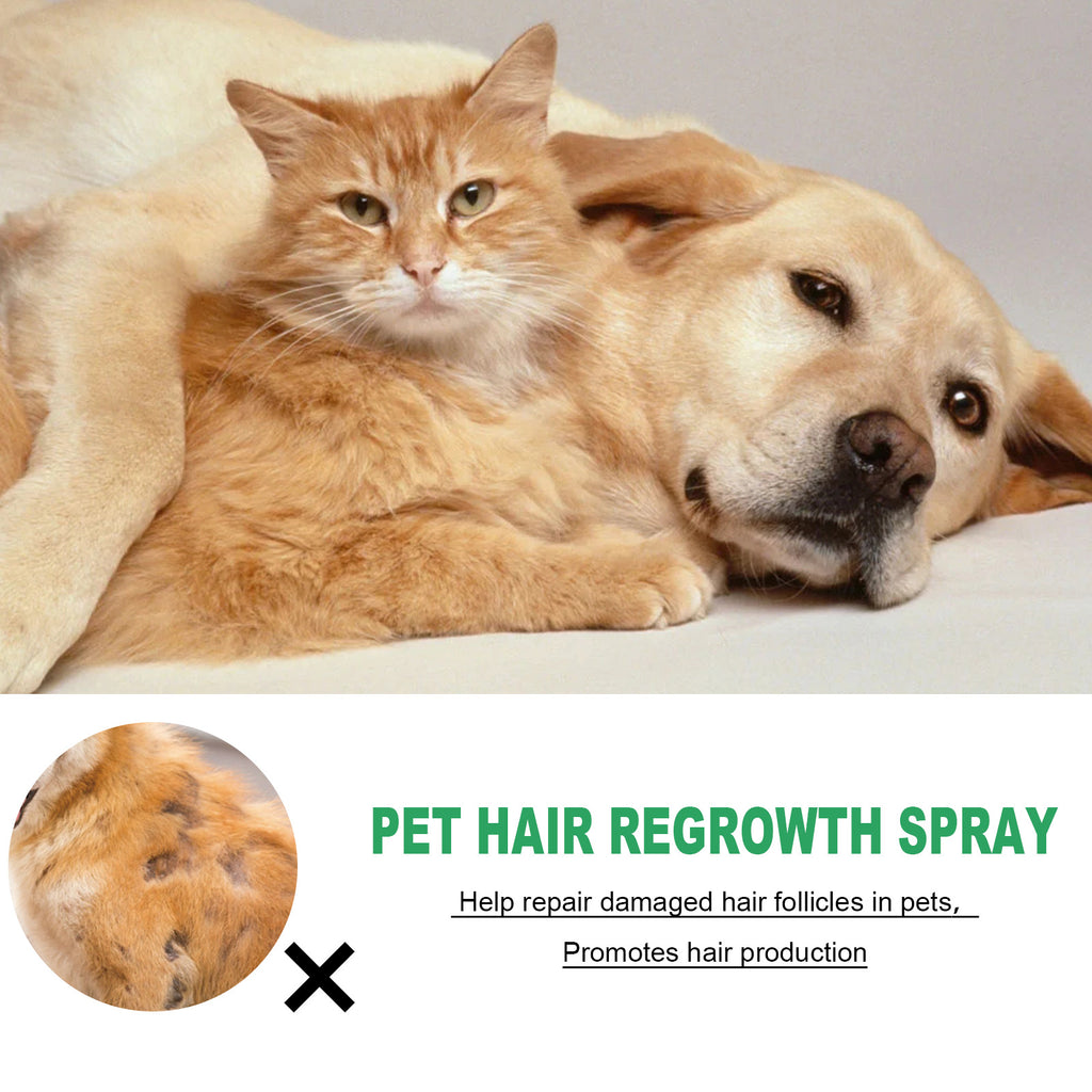 Hair Growth & Repair Spray for Dogs & Cats