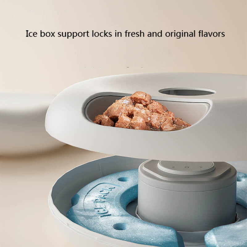 Paiwang 6-Meal Automatic Pet Feeding Device Cross border Spot Wholesale Wet Cat Food Cat Dog Timed Feeding Device