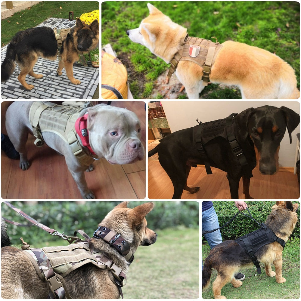 Military Tactical Dog Harness with Handle & Bungee Leash