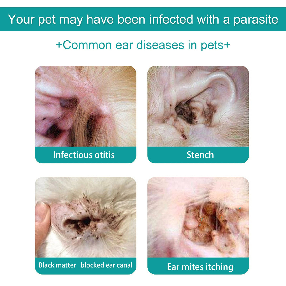 Pet Ear Cleaning Oil for Cats and Dogs - Cleansing, Deodorizing, and Removing Mites from Ears