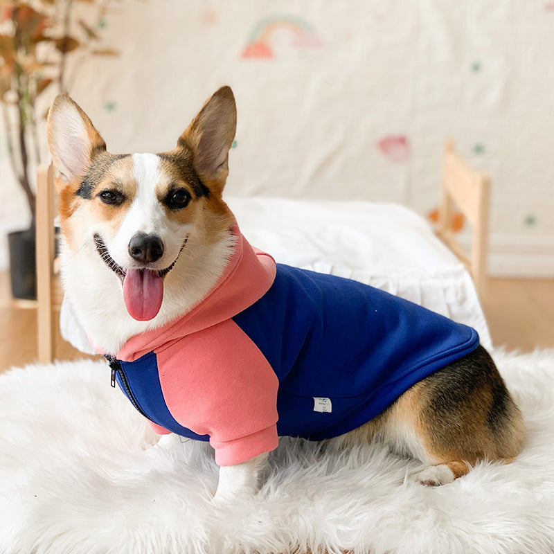 Shedding Prevention Clothes for Corgi & Small Dogs