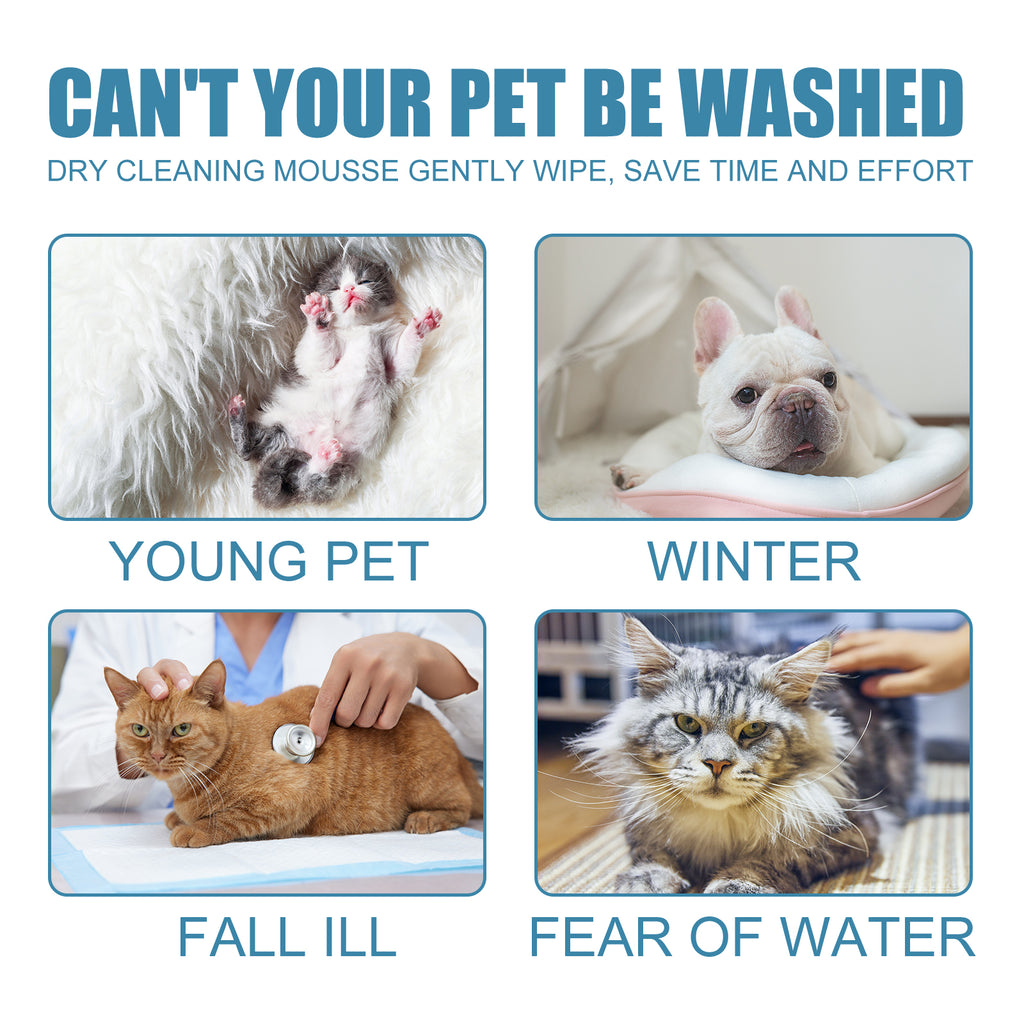 Dry Clean Mousse Body Wash for Dogs & Cats